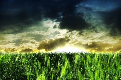 Best Hd Widescreen Nature Wallpapers Hd Wallpapers Arena ...