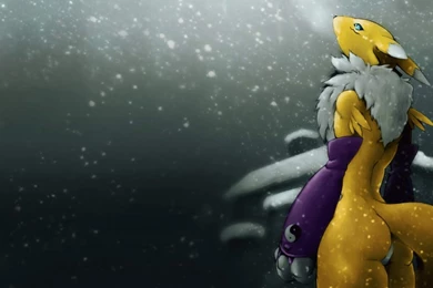 Digimon Wallpapers   Wallpapers Cave