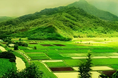 Nature Wallpapers   Timbena.com: Laptop Beach Free Wallpapers ...