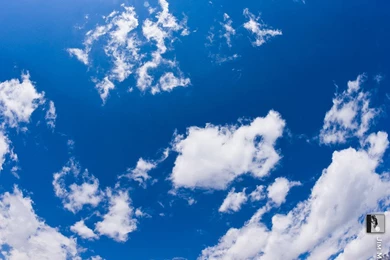 Kicking Off: Friday Freebie iPad Wallpapers   JMG Galleries ...