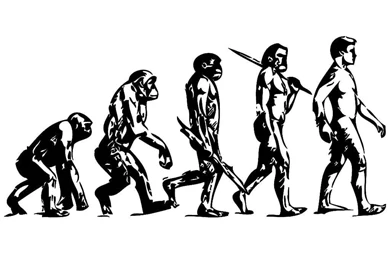 Download Index Of /wallpaper/evolution Evolution Of Man ...