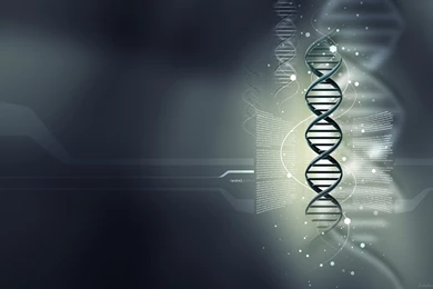 Medical Desktop Backgrounds   Wallpapers Cave