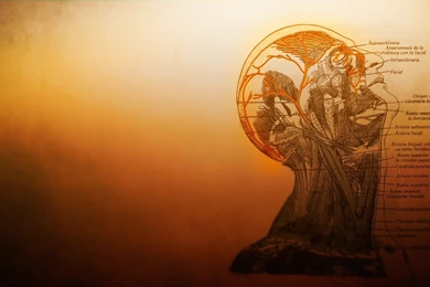 Medical Wallpapers   Wallpapers Zone