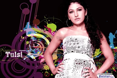Tulsi Kumar High Resolution Image 22748   Glamsham.