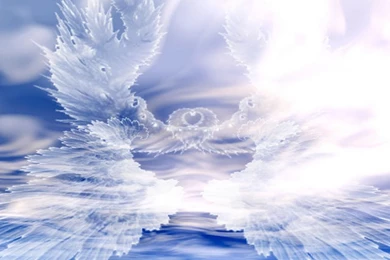 Backgrounds White Gallery: Backgrounds With Angels