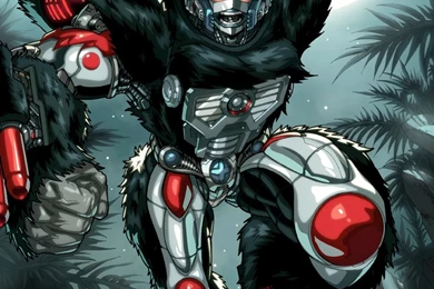 Beast Wars On Pinterest