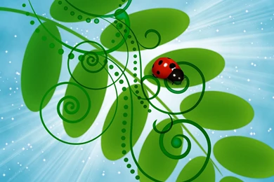 Vector & Designs Wallpapers   Page 1   HD Wallpapers