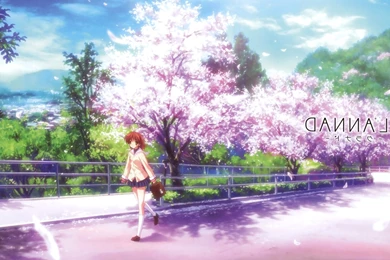 Clannad, Anime Images, Hd Anime Wallpapers, Anime Artworks, Manga ...