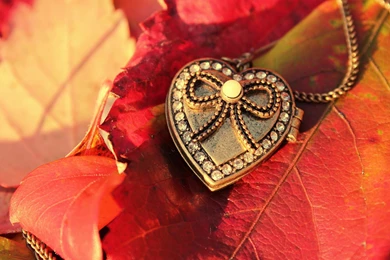 Love You Heart HD Wallpapers Image Pics Whatsapp Facebook DP