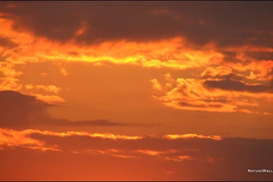 Sunset Sky Wallpapers