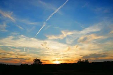 Download Sunset Skyscapes Wallpapers 1920x1200