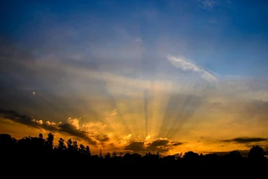 Sunset Sky Of Honey   (