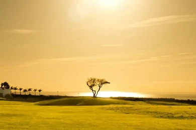 Download Wallpapers 1080x1920 Field, Grass, Tree, Sunset, Sky Sony ...