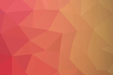 Pattern Red Peach Orange Cool