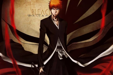 Ichigo Bankai Wallpapers   1683x1019   143448