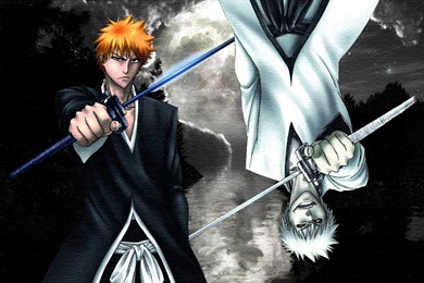 Anime Wallpaper: Ichigo New Bankai Hollow Wallpapers HD HD ...