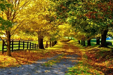 The Most Beautiful Autumn HD Desktop Wallpapers : High Definition ...