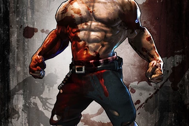 West Mansion: The Splatterhouse Homepage   Artwork