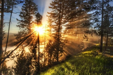 Morning Scenery HD Wallpapers   HD Wallpaper Backgrounds Of Your ...