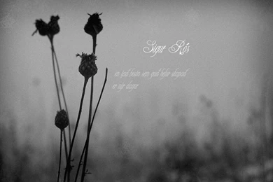 Sigur Ros Wallpapers By Khroma On DeviantArt