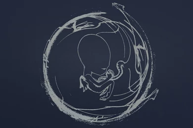 Sigur Rós   Ágætis Byrjun [1920x1200] : Wallpapers