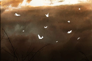 Sigur Ros Wallpapers By Drownsoda On DeviantArt