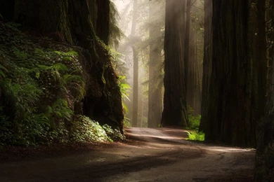 Morning Scenery HD Wallpapers   HD Wallpaper Backgrounds Of Your ...