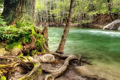 Wallpapers Lovely Morning Scenery Pixels Tagged Forest Rocks ...