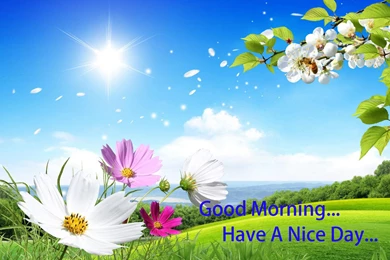 Best Good Morning Images Wallpapers And Pictures