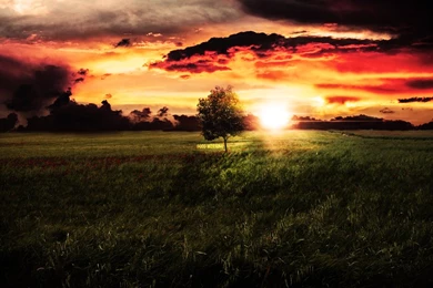 Good Morning Wallpapers By NickchouBG On DeviantArt