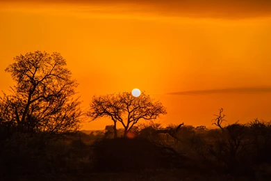 Morning Scenery Wallpapers