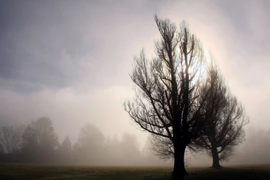 Photography HD Wallpapers Archives   Page 5 Of 18   HD Wallpapers