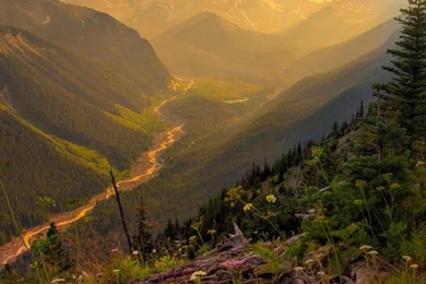 Healthy Choices Weekend Chat