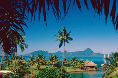 Download 1024x768 Tropical Island Beach Scenery Beautiful Morning ...