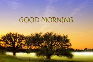 Good Morning Wallpapers Free Download For PC.html Also Free Zen ...
