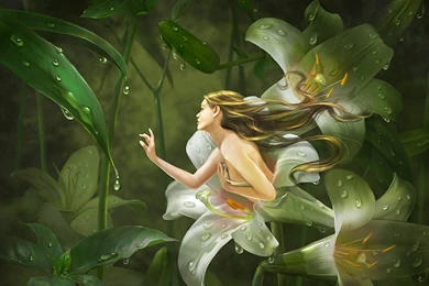 Fairy   Fantasy Wallpapers (37169620)   Fanpop