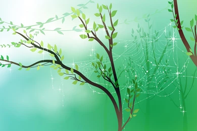Spring, Fresh, Morning, Wallpaper, Scenery, Vector (