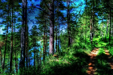 36+ Best HD Trail Wallpapers