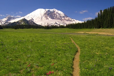 Trail Wallpapers Desktop