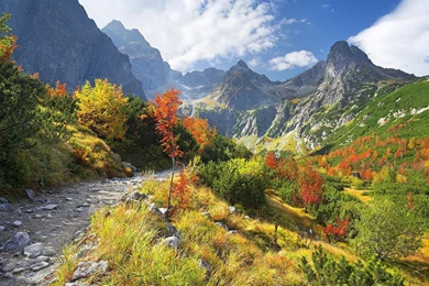 Mountain Trail Wallpapers And Images   Wallpapers, Pictures, Photos