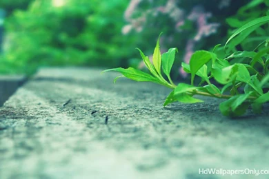 Free Hd Wallpapers Collection (44+)