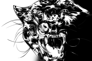 Full HD 1080p Panther Wallpapers HD, Desktop Backgrounds 1920x1080