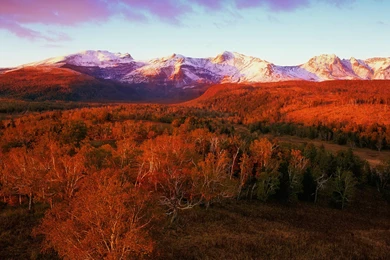 Fall Tundra Wallpapers – Republican Economic Policies Reward Rent ...