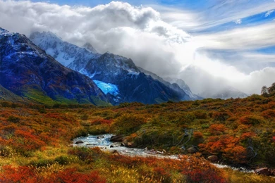 Tundra's Environment   ThingLink