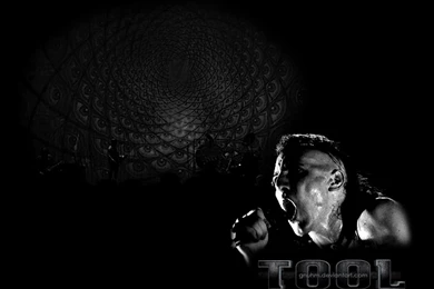 Browsing Other On DeviantArt