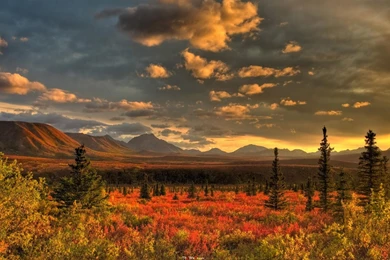 Wallpapers Laura Dore Late Evening Light Bathes The Alaskan Tundra ...