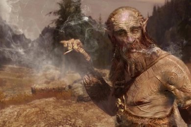 Elder Scrolls V: Skyrim Joint Dragonborn Tundra Wallpapers