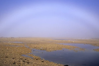 1600x1200 Fog Over Tundra Desktop PC And Mac Wallpapers