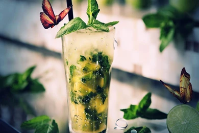 Download Wallpapers 1920x1080 Mojito, Cocktail, Butterflies, Lime ...