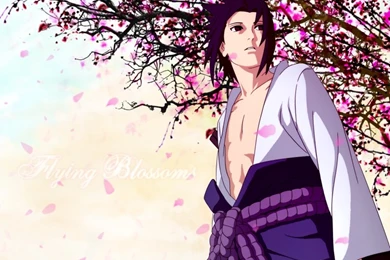 Cherry Blossoms,Uchiha Sasuke Cherry Blossoms Uchiha Sasuke Naruto ...